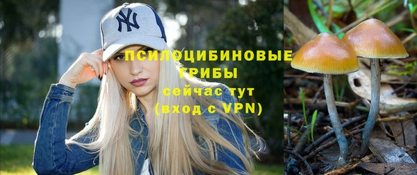 трава Абаза