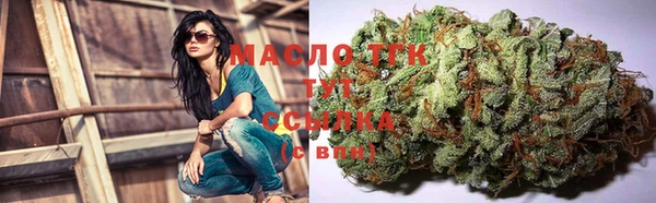 индика Абинск