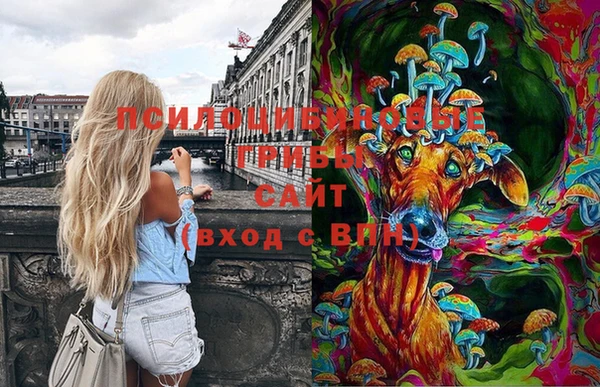 спиды Абдулино