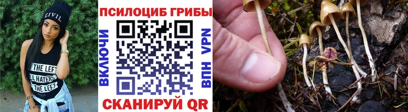 Псилоцибиновые грибы Psilocybe  Усть-Илимск 