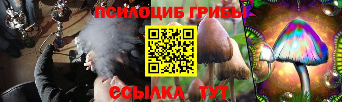 Псилоцибиновые грибы Psilocybine cubensis  Галлюциногенные грибы Cubensis  купить закладку  Усть-Илимск  Вход с VPN 